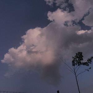 免费看十八岁美女电视剧尼姑
