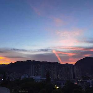 免费看十八岁美女电视剧尼姑
